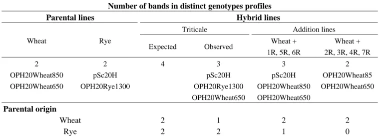 Table 1. Characterization of PCR banding profiles obtained with OPH20 10-mer primer in  wheat, rye, triticale and wheat lines with the addition of rye chromosomes