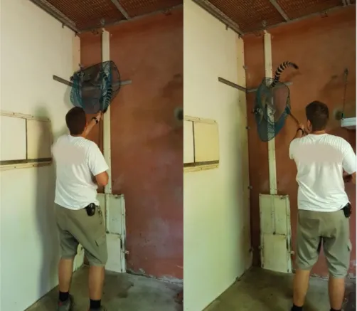 Figure 11. Zookeeper capturing a ring-tailed lemur (Original picture) 