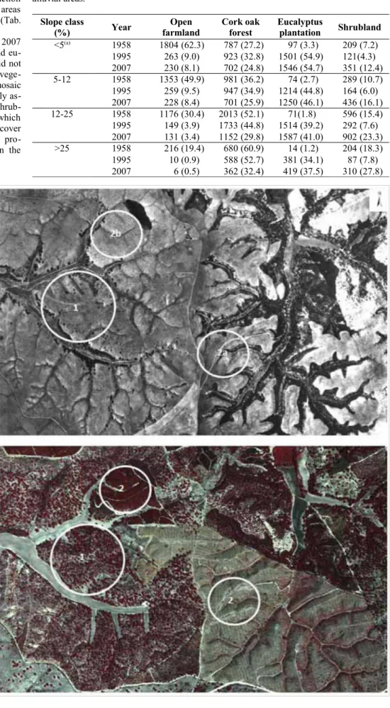Fig. 5 - Aerial photographs of Ulme  in 1958 (black and white - top) and  1995 (near infrared colour - bottom)  showing landscape features and land  use changes (approximate scale  1:10.000)