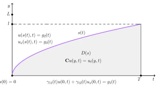 Figure 4.1: Free boundary problem.