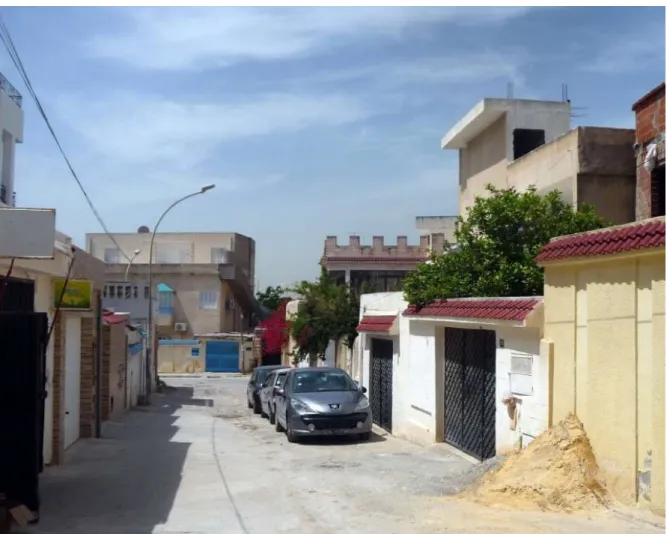 Figure 1. El Mourouj 2 