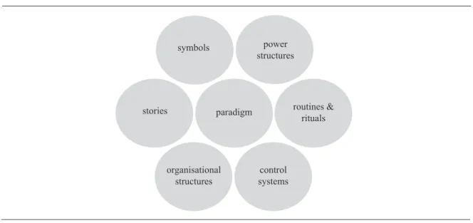 Figure 4. Cultural Web Model
