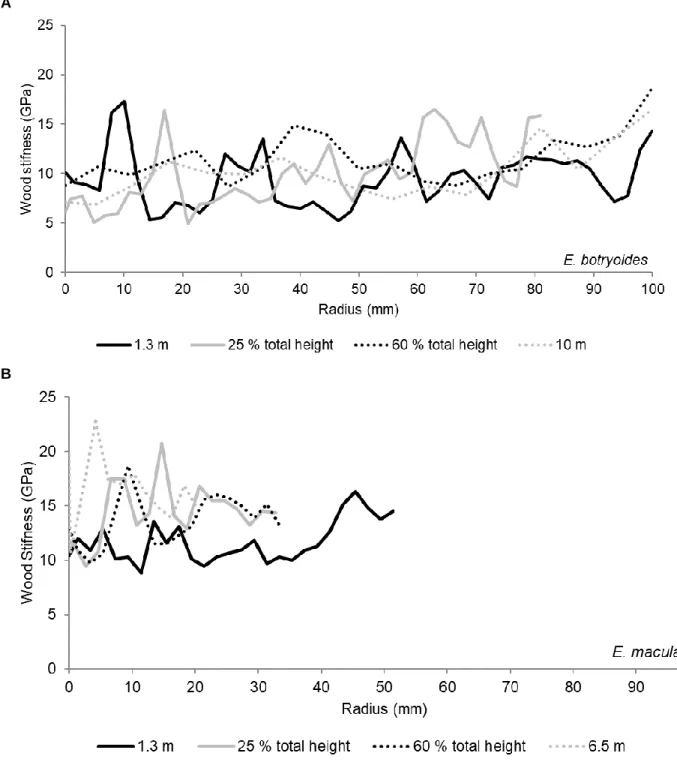 Fig. 3. Radial variation of wood stiffness at various height levels (1.3 m, 25%, and 65% of tree  height, and top) in E