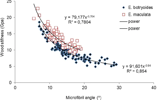 Fig. 5. Correlation between microfibril angle and wood stiffness for E. botryoides and E