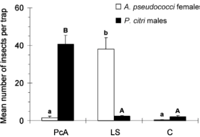 Figure 5 Mean number (+ SE) of Anagyrus spec. nov. near  pseudococci females and Planococcus citri males captured per  sampling period in sticky traps baited with  (+)-(1R,3R)-cis-2,2-dimethyl-3-isopropenyl-cyclobutanemethanol acetate (PcA) or  (S)-(+)-lav