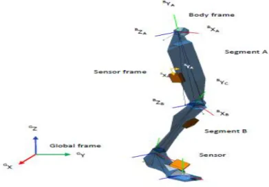 Figure 4 – Segments’ coordinate system in relation to the global coordinate system. Adapted  from – Xsens MVN User Manual