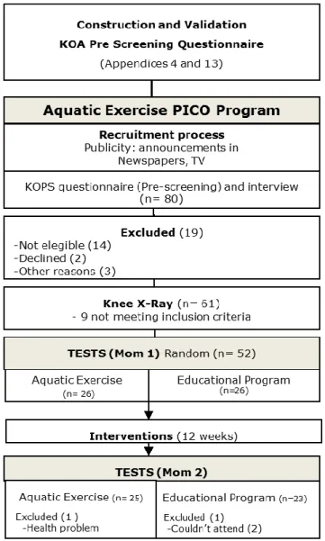 Fig. 3. PICO project  fluxogram. 