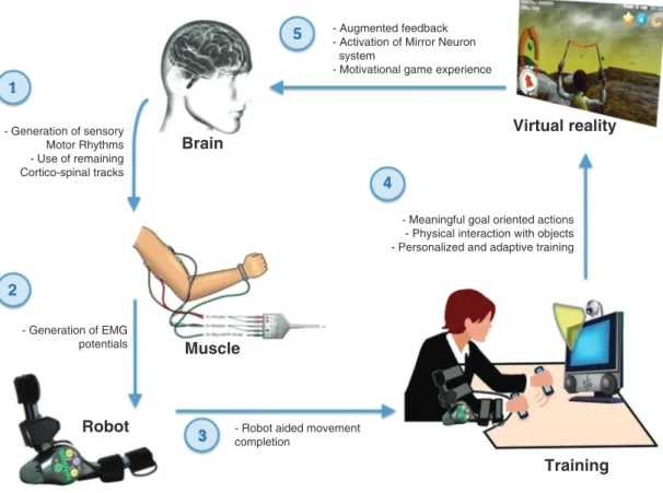 Figure 1 Diagram of the developed virtual reality and robotic limb orthosis training paradigm showing the role of each technological com- com-ponent (numbered from 1 to 5).