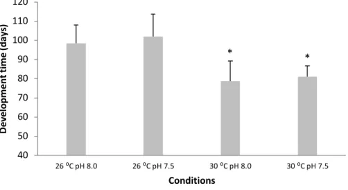 Figure 4.  Impact  of  ocean  acidification  (ΔpH  0.5)  and  warming  (+  4  °C)  on  development  time  of  embryo  bamboo  sharks  (Chiloscyllium  punctatum)