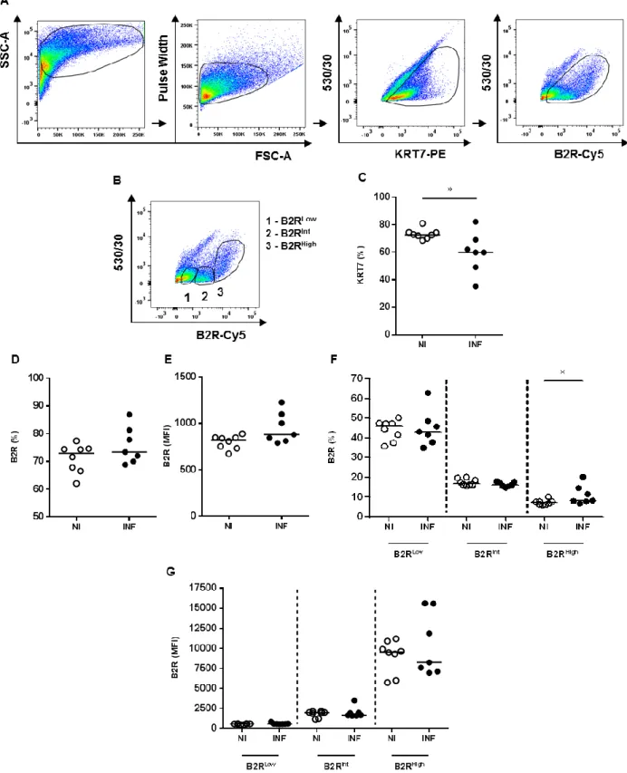 Figure  6.  Impact  of  Plasmodium  infection  on  trophoblasts  B2R  expression  in  vivo