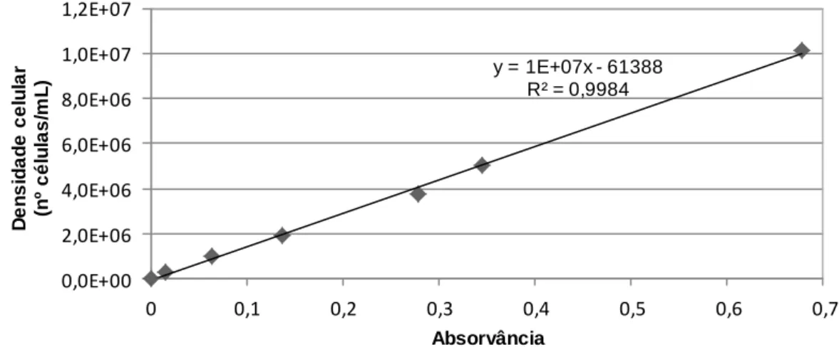 Figura 7.2 – Curva de calibração absorvância versus densidade celular para a alga Chlorella vulgaris