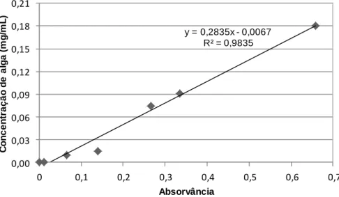Figura 7.4 – Curva de calibração absorvância versus concentração de alga Chlorella vulgaris