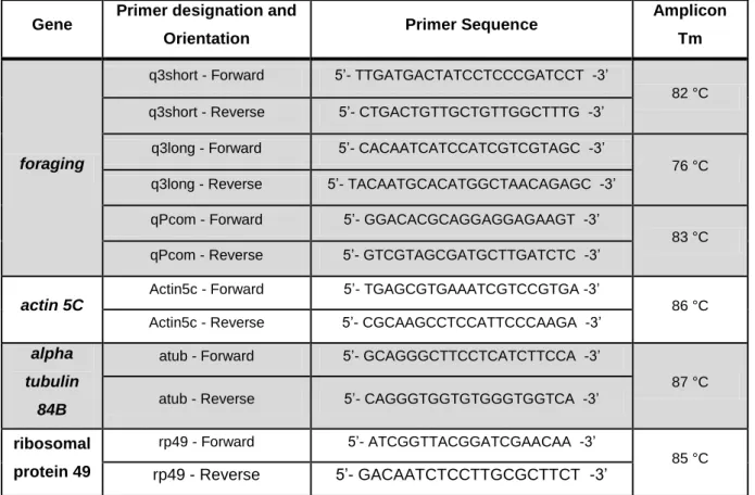 Table 2.1- Oligonucleotides Used for PCR Amplification of for Coding Sequences and Reference  Genes 