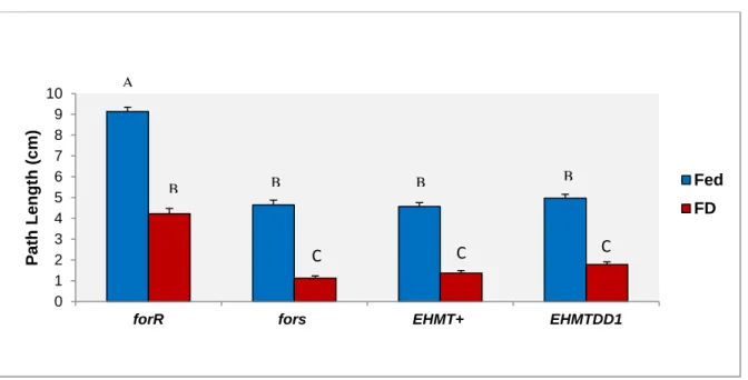 Figure  3.3.1 – Larval foraging experiment 1. Mean larval path length (centimeters) ± SE for strains  for R ,  for s ,  EHMT +   and  EHMT DD1 