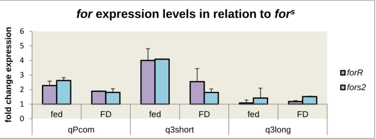 Figure 3.7.1 - For RNA expression levels for fed and food-deprived for R  and for s2  using α-tubulin and  actin5c as reference genes and in comparison to for s  expression levels