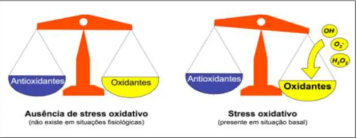 Figura 4 - Conceito de stress oxidativo baseado no desequilíbrio entre as ações pró-oxidante e antioxidantes teciduais  