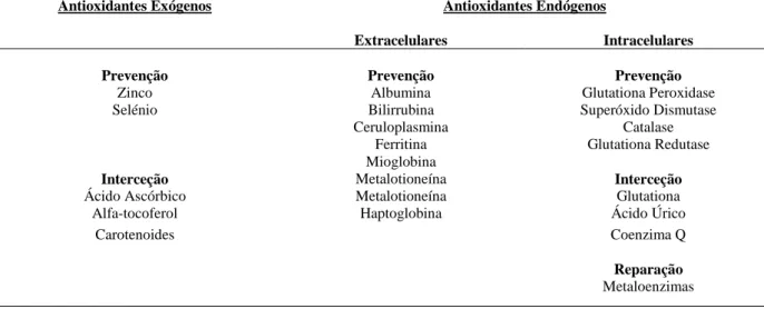 Tabela 2 - Origem, localização e mecanismos de ação dos principais antioxidantes orgânicos  