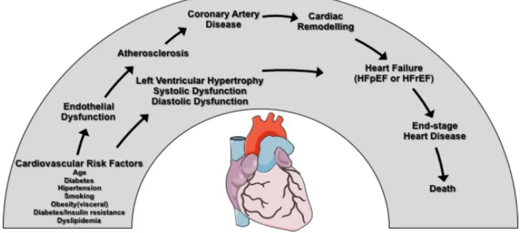 Figure 1.  The modern concept of the cardiovascular continuum.