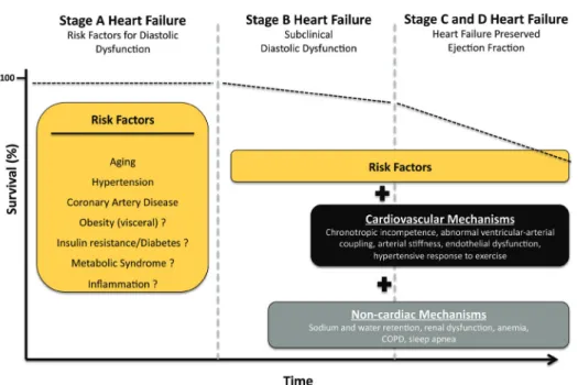 Figure 2.  Risk factors for subclinical diastolic dysfunction and mechanisms involved in the progression  from subclinical diastolic dysfunction to HFpEF.