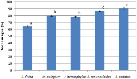 Figura  1-  Teor  médio  de  água  (%)  das  espécies  C.  divisa,  M.  pulegium,  J.  heterophyllus,  B