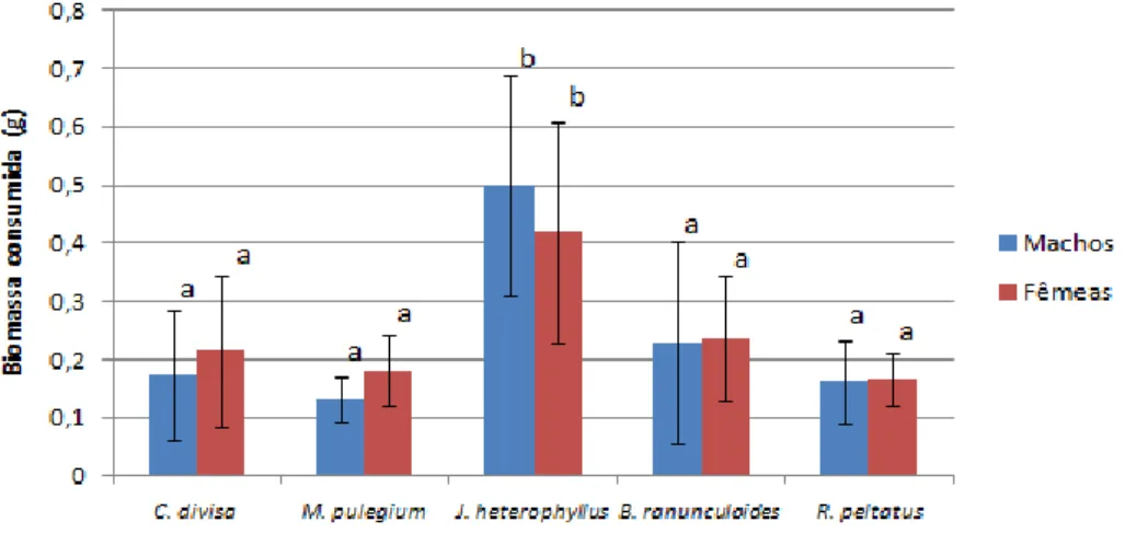 Figura 6- Biomassa (g) consumida por machos e fêmeas de P. clarkii nos testes de palatibilidade (fase 1)