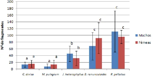Figura 7- Número de fragmentos em que os talos foram cortadas por machos e fêmeas de P