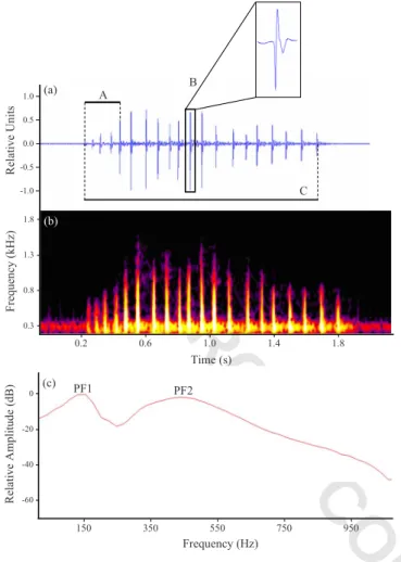 FIG. 2. 共 Color online 兲 共 a 兲 Oscillogram, 共 b 兲 sonogram, and 共 c 兲 power spec- spec-trum of a Pseudotropheus zebra male courtship sound, representing some of the acoustic parameters measured: mean pulse period of the 共 A 兲 first five pulses, 共 B is an e