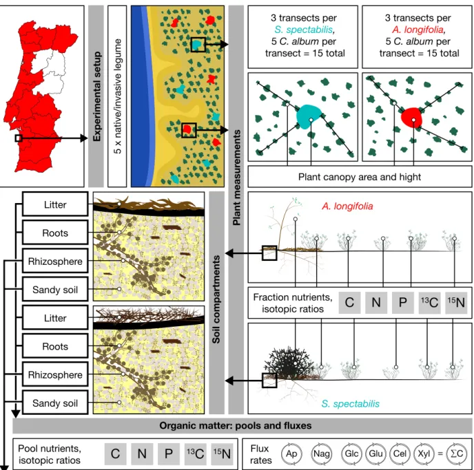 Figure 1.5 Illustrated summary of chapter 3. 