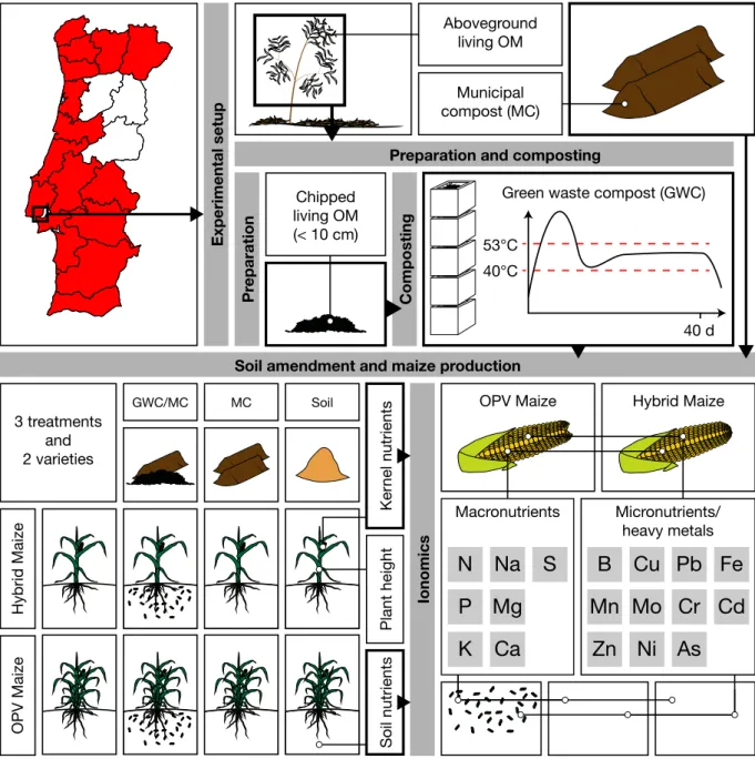 Figure 1.7: Illustrated summary of chapter 5. 