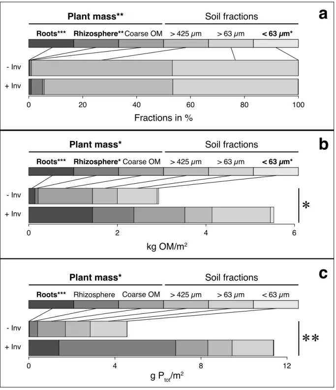 Figure 2.2 Belowground mass pools underneath non-invaded (- Inv) and invaded (+ Inv) Corema album plants.