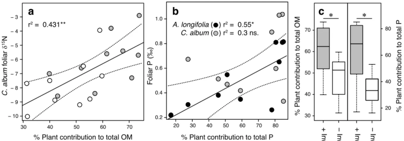 Figure 2.3 Effects of plant-derived OM and P on foliar values and the mass ratio differences in C
