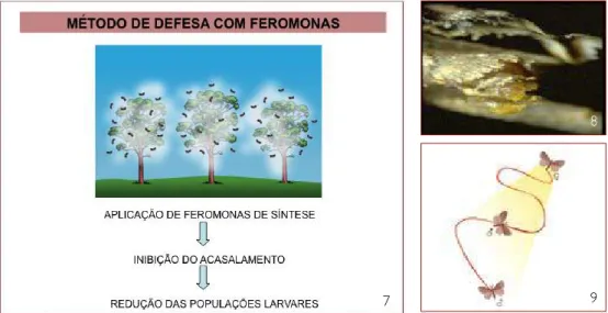 Fig. 7 - Método de controlo  com  feromonas. 