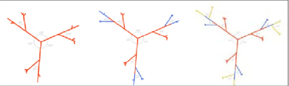 Fig . 2 . Esquema da poda em forma de vaso .