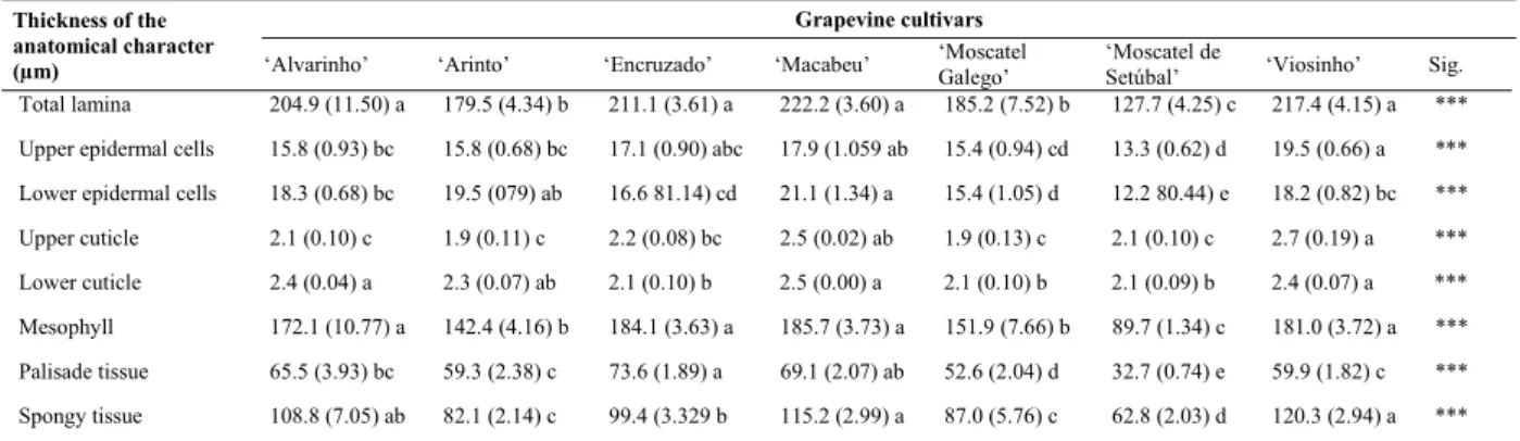 TABLE III 