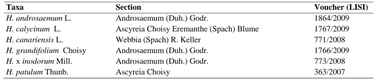 Table 1.  Hypericum species identification. 