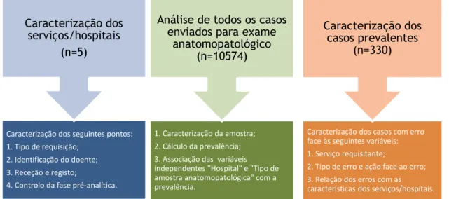 Figura 9 – Esquema exemplificativo do ciclo do teste anatomopatológico. 