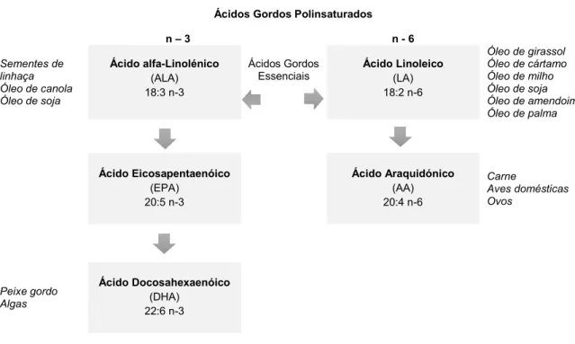 Figura  1:  Classificação  e  fontes  alimentares  dos  ácidos  gordos  polinsaturados