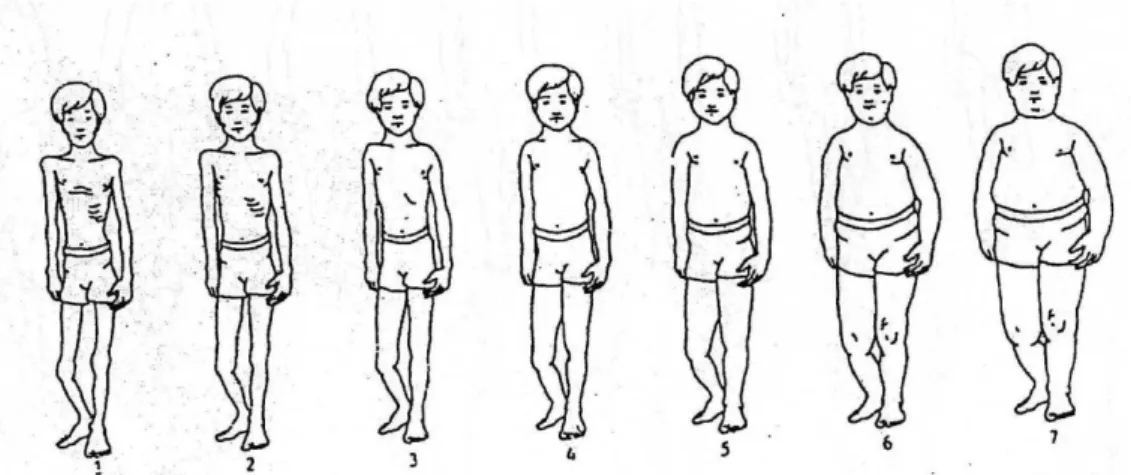 Figura 1. Escala de silhueta corporal aplicada nos rapazes com ≤ 12 anos. 