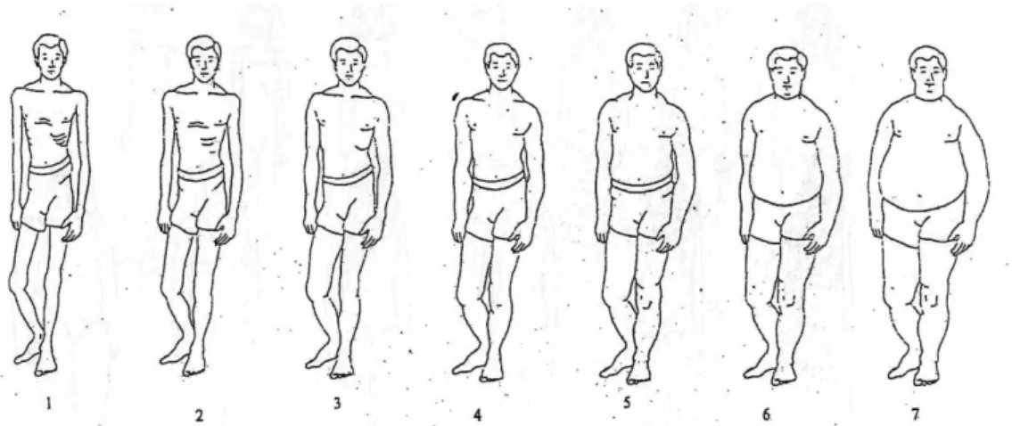 Figura 4. Escala de silhuetas corporais aplicada nas raparigas com ≥12 anos. 