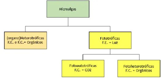Figura 2. Metabolismos possíveis das microalgas segundo a fonte de energia e fonte de  carbono que utilizam