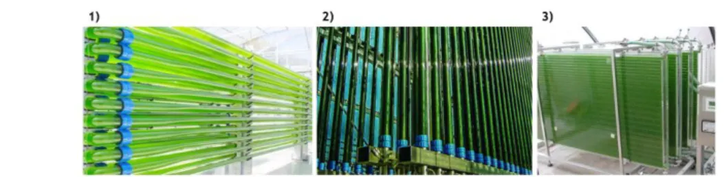 Figura 5. Fotobioreatores 1) tubulares horizontais (A4F, 2017), 2) tubulares verticais (SCHOTT,  2017), 3) de placas planas (AquaFeed, 2014)