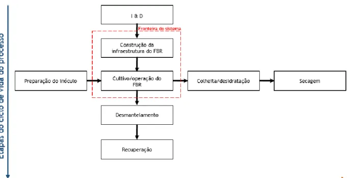 Figura 9. Fronteira do sistema em estudo e etapas do ciclo de vida das microalgas e do FBR