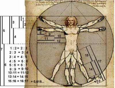 Figura 1- Homem Vitruviano de Leonardo da Vinci (Mondelli)