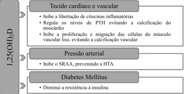 Figura 6 - Mecanismos pelos quais a vitamina D exerce um papel protetor na saúde  cardiovascular 