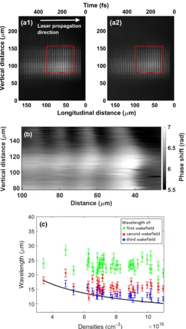 FIG. 2. (a) Spectrum of the image of the wakefield formed by the probe and reference pulses from which the phase shift across the x-y-plane was recovered