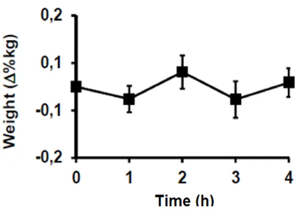 Figure 3. Percent change in weight (kg) during the 4-h period of carbohydrate refeeding
