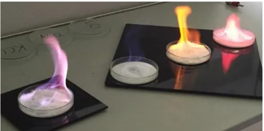 Figura 1.1: Chamas produzidas por (da esquerda para a direita) sais de estrôncio, césio, sódio e lítio     (fonte: Claire Baker, Annabella Murray - Diamond Light Source) 