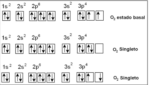 Figura 2. O O 2  em diferentes graus de energia. Adaptado de Halliwell e Gutteridge  (2007).