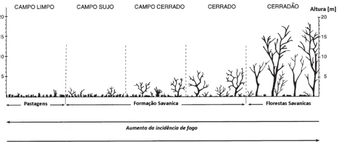Figura  9.  Diferentes  fisionomias  do  bioma  Cerrado.  Esquema  demonstrando  os  diferentes  tipos  de  formação e a presença dos diferentes tipos de vegetação deste bioma