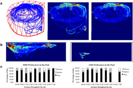 Fig 3. D-Track outputs for dolphin trajectories in the 3D-reconstructed pool. (a) Trajectory of AM4 in one of the sessions with red points representing more time spent in a particular section of the pool and light blue lines representing less occupancy